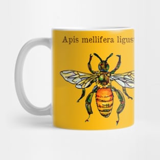 Italian honey bee Mug